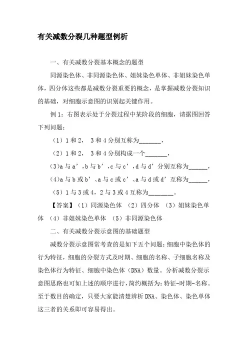有关减数分裂几种题型例析-精选资料