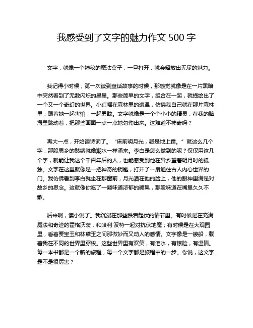 我感受到了文字的魅力作文500字