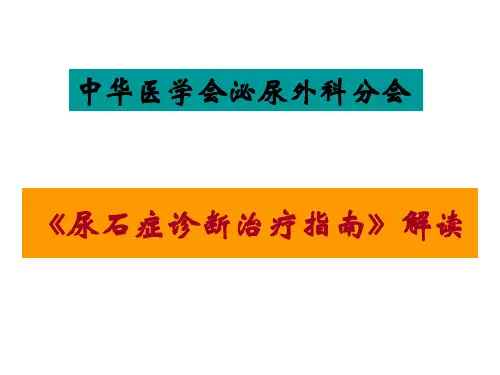 2019年中国尿石症诊疗指南.ppt