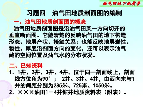 油气田地下地质学   油田地质剖面图