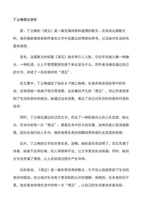 丁立梅遇见赏析