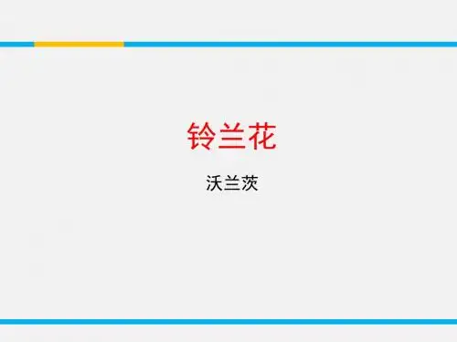 铃兰花ppt16 苏教版