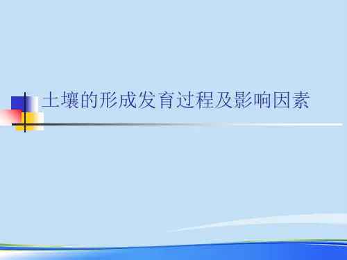 2021土壤的形成发育过程及影响因素.完整资料PPT