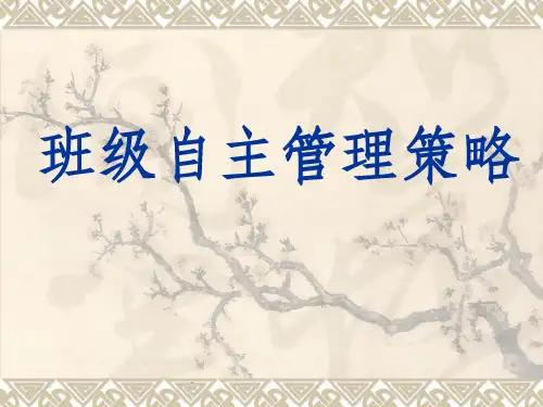 班级自主管理策略ppt课件