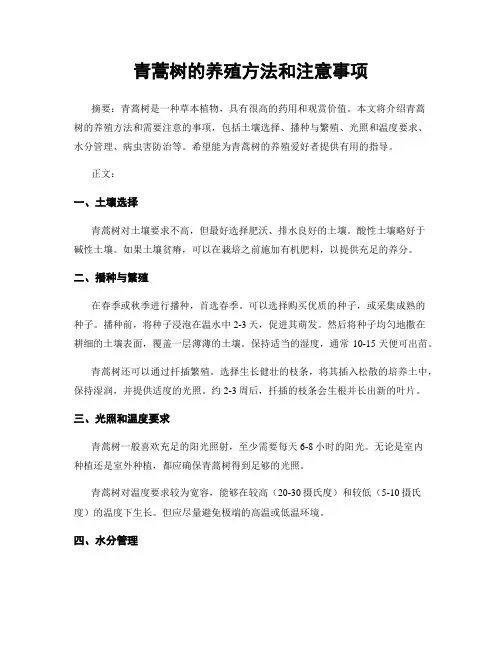 青蒿树的养殖方法和注意事项