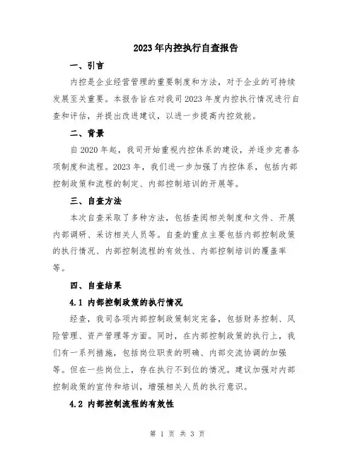 2023年内控执行自查报告
