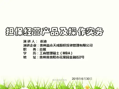 融资担保培训(1)