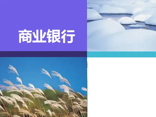 金融学第五章商业银行PPT课件