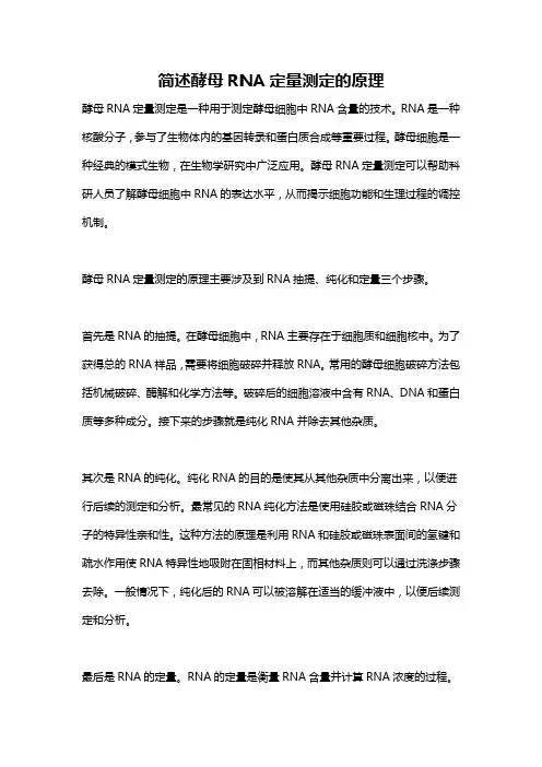 简述酵母RNA定量测定的原理