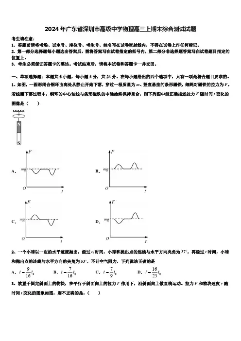 2024年广东省深圳市高级中学物理高三上期末综合测试试题含解析