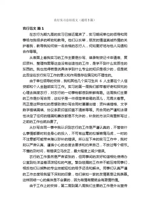 农行实习总结范文（通用3篇）