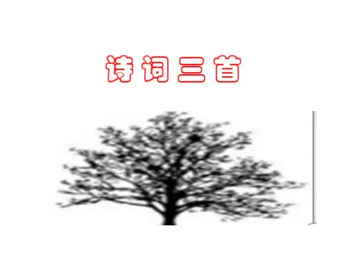 第14课《诗词三首》课件(共33张)语文九年级上册