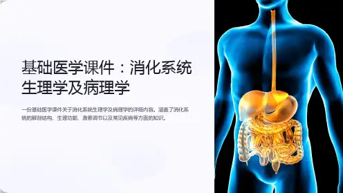 《基础医学课件：消化系统生理学及病理学》