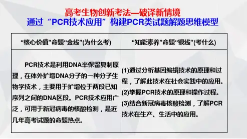 2024届高考生物 通过“PCR技术应用”构建PCR类试题 热点解题思维模型 教学课件