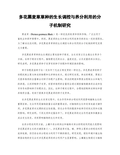 多花黑麦草草种的生长调控与养分利用的分子机制研究
