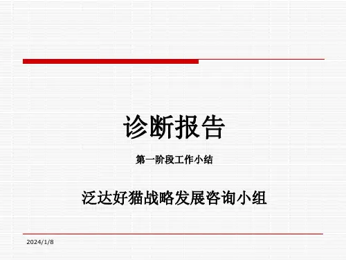 泛达好猫战略诊断报告