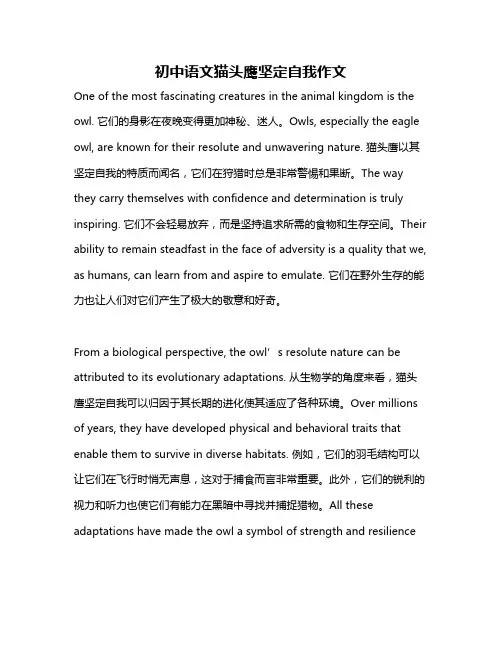 初中语文猫头鹰坚定自我作文
