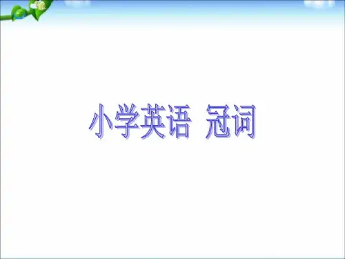 小学英语语法定冠词与不定冠词