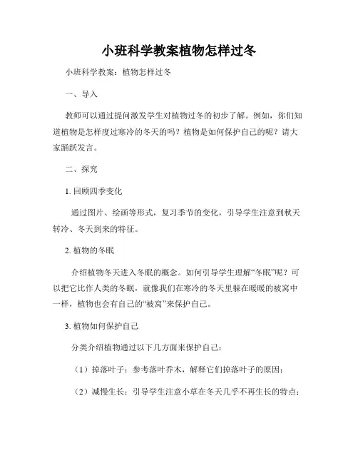 小班科学教案植物怎样过冬