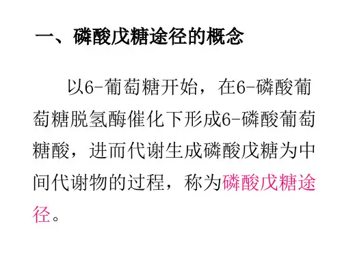 医学课件磷酸戊糖途径 糖异生及糖原合成