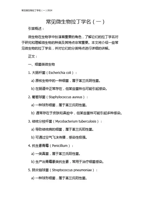 常见微生物拉丁学名(一)2024