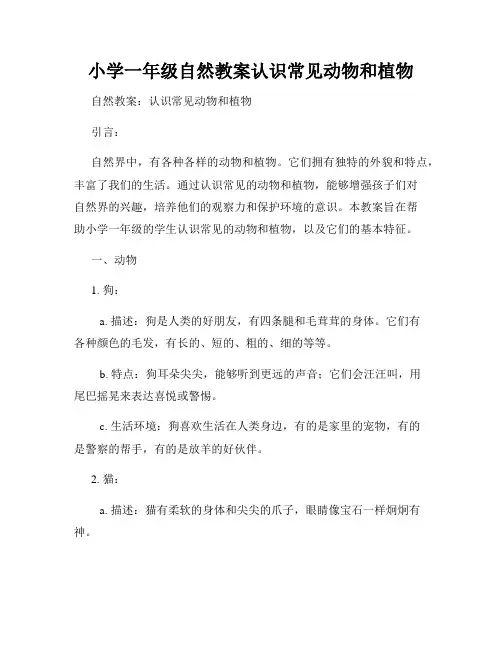 小学一年级自然教案认识常见动物和植物