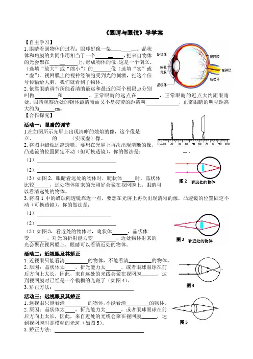 5.4眼睛和眼镜学案