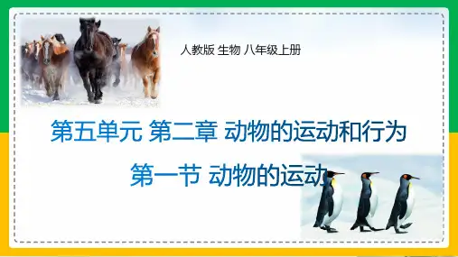 2024学年八年级生物上册(人教版)5.2.1 动物的运动教学课件
