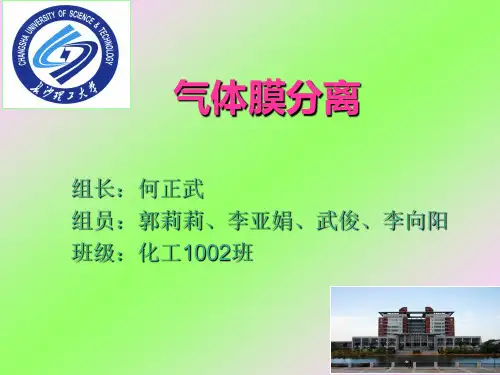 气体膜分离.