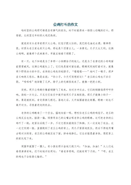 公鸡打斗的作文