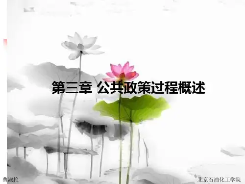 第三章  公共政策过程概述