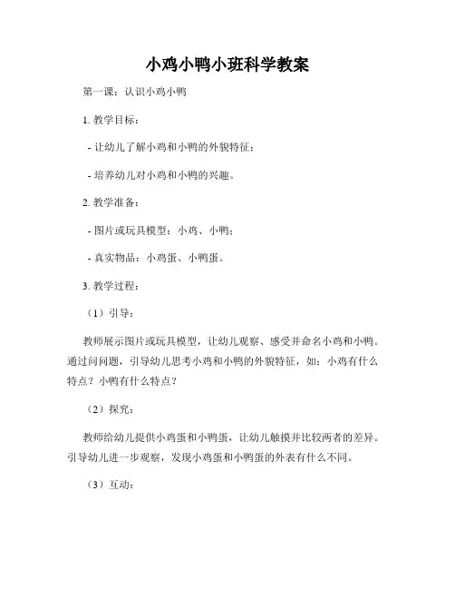 小鸡小鸭小班科学教案