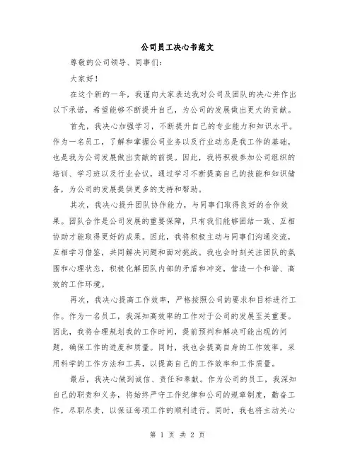 公司员工决心书范文