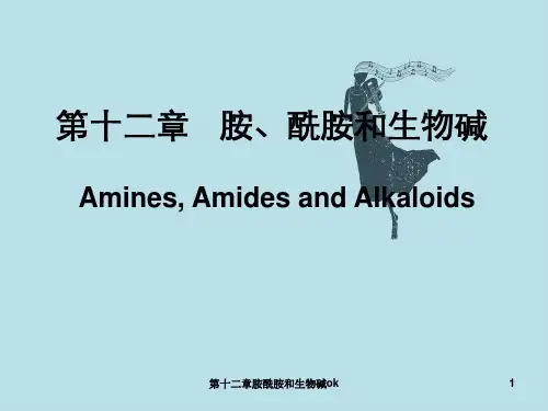 第十二章胺酰胺和生物碱ok