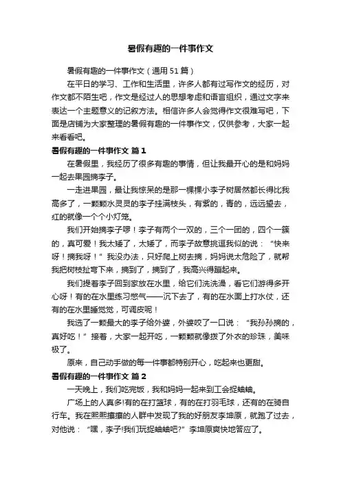 暑假有趣的一件事作文