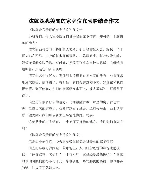这就是我美丽的家乡信宜动静结合作文