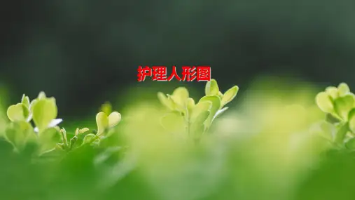 产科护理人形图
