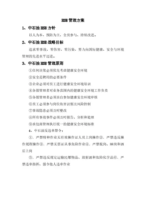 HSE管理方案