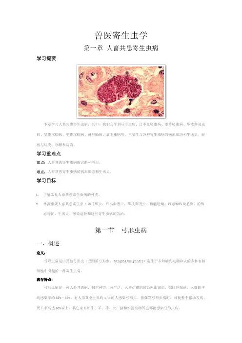 兽医寄生虫学 第一章 人畜共患 第一节 弓形虫病