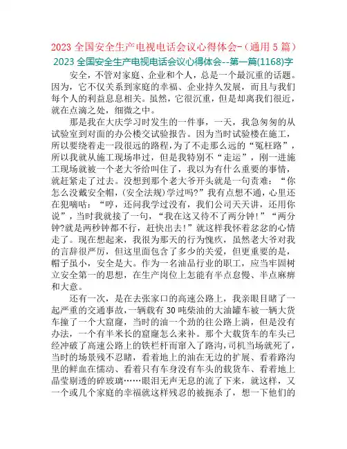 2023全国安全生产电视电话会议心得体会-(通用5篇)