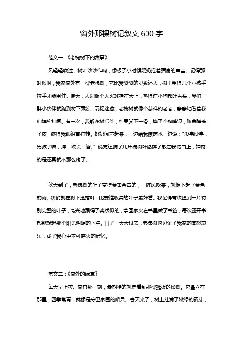 窗外那棵树记叙文600字