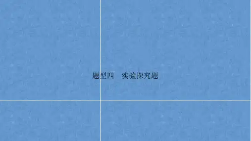 云南省初中学业水平考试物理模拟试卷 实验探究题