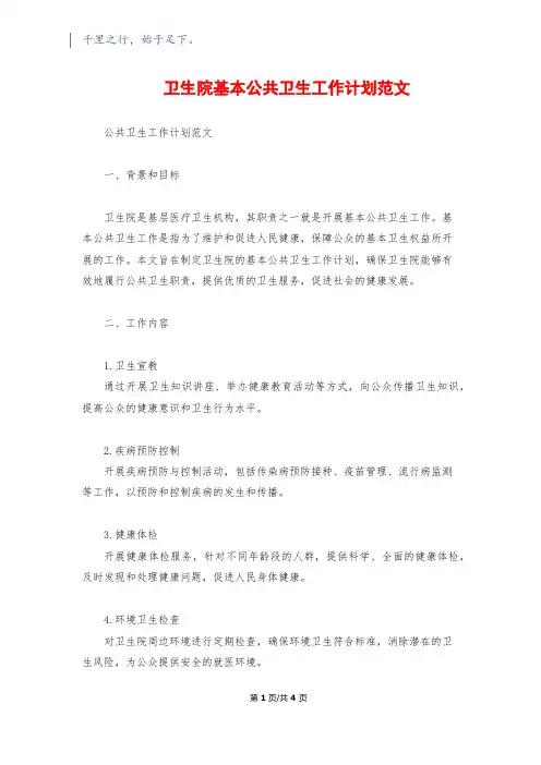 卫生院基本公共卫生工作计划范文