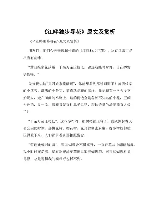 《江畔独步寻花》原文及赏析