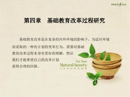 基础教育改革研究第四章