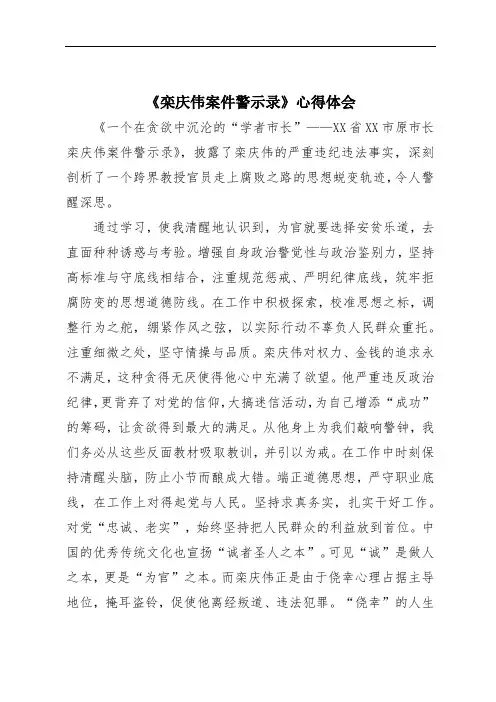 《栾庆伟案件警示录》心得体会