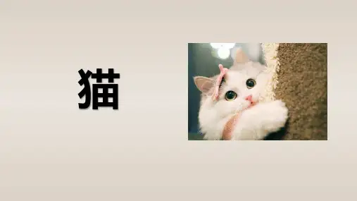 部编版语文四年级下册第13课《猫》课件