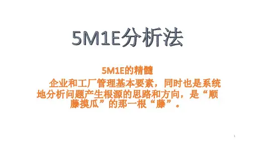 5M1E分析法ppt课件