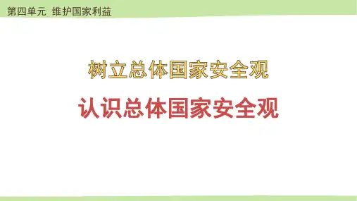 《认识总体国家安全观》PPT优秀课件下载