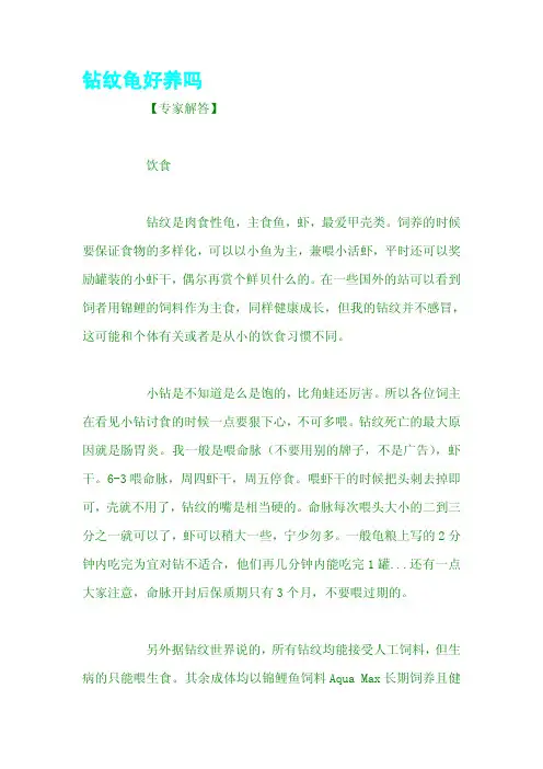 钻纹龟好养吗